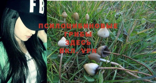 бошки Лиски